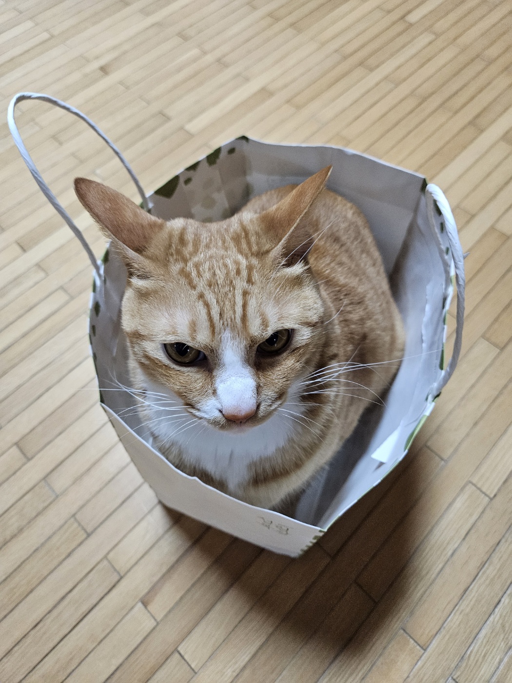블로그 이미지