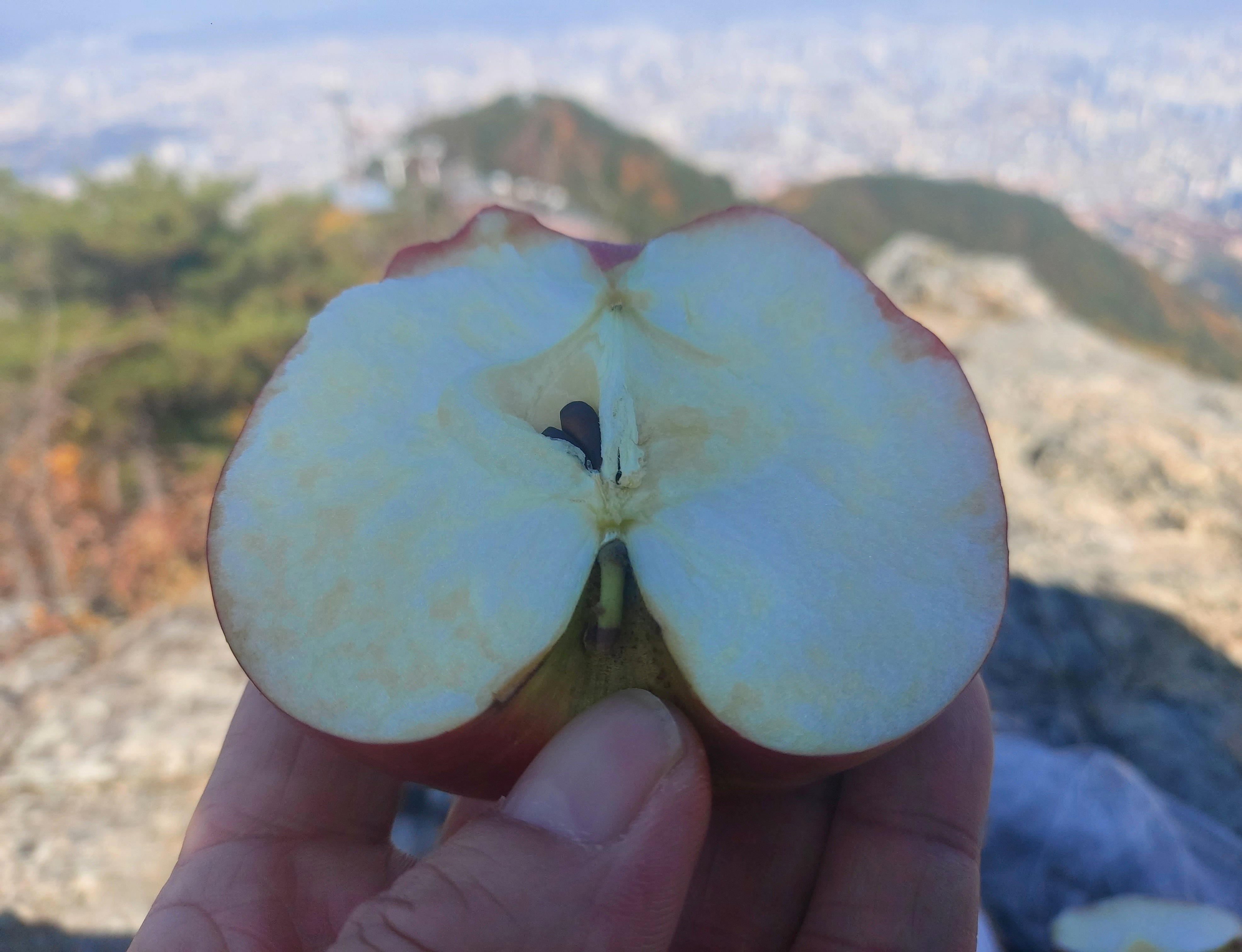 프로필사진