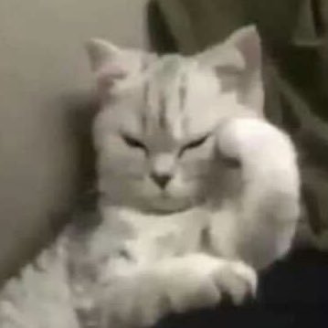 프로필사진
