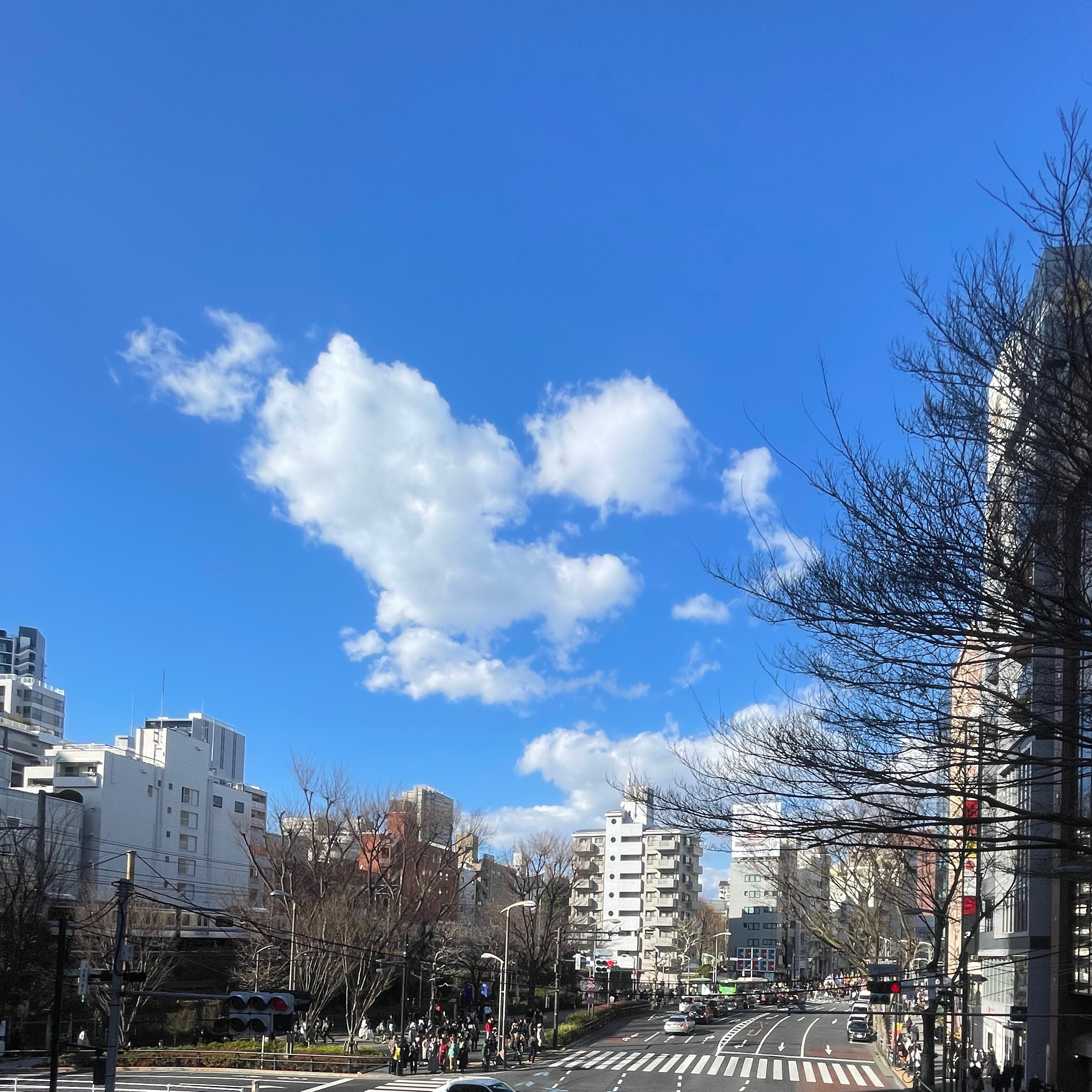 프로필 로고