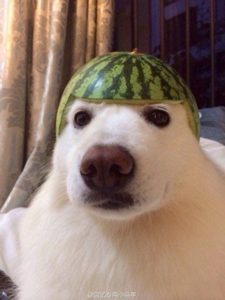프로필사진