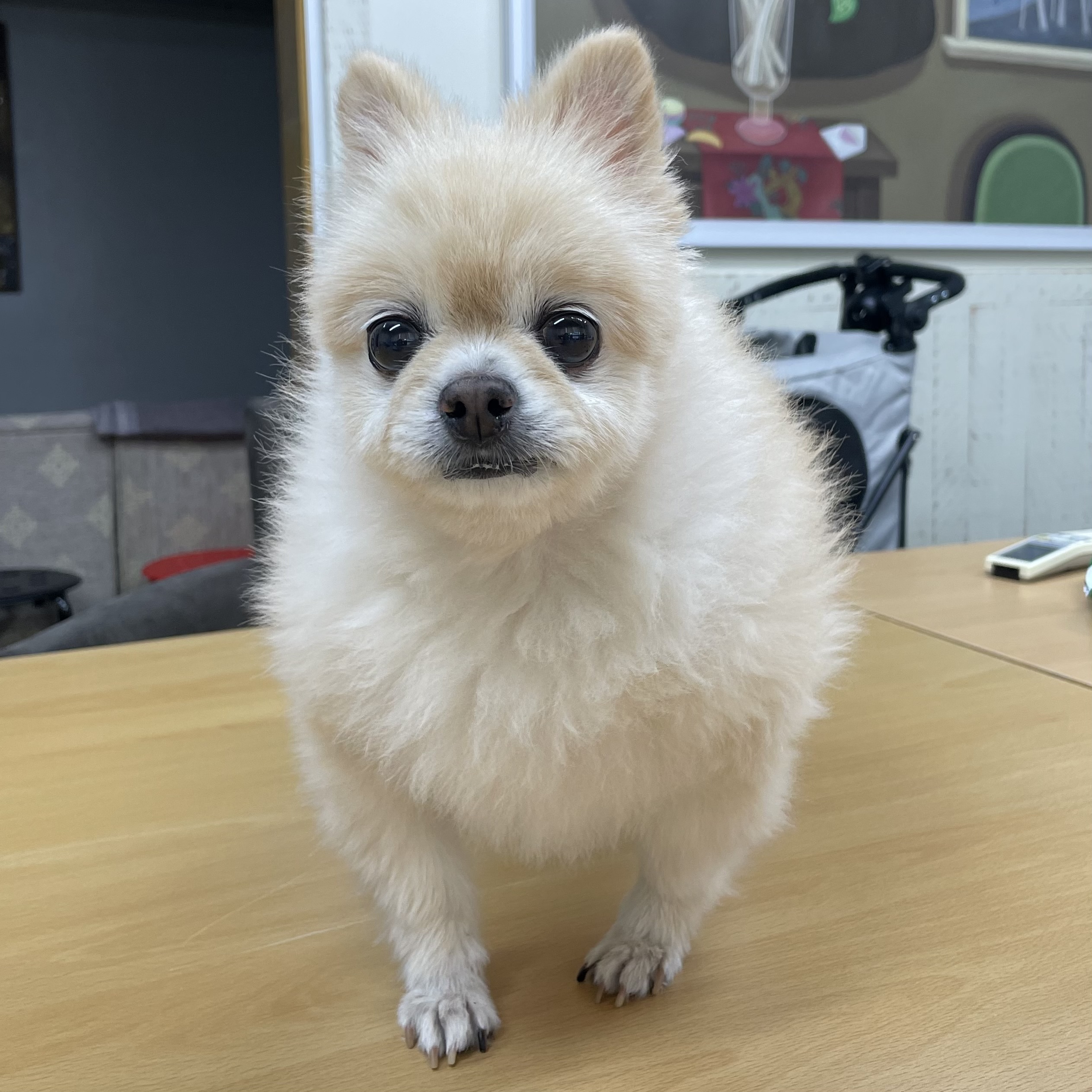 프로필사진
