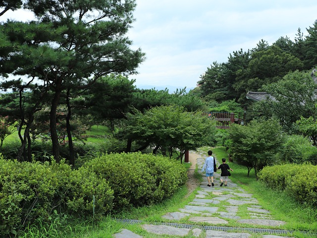 블로그 이미지