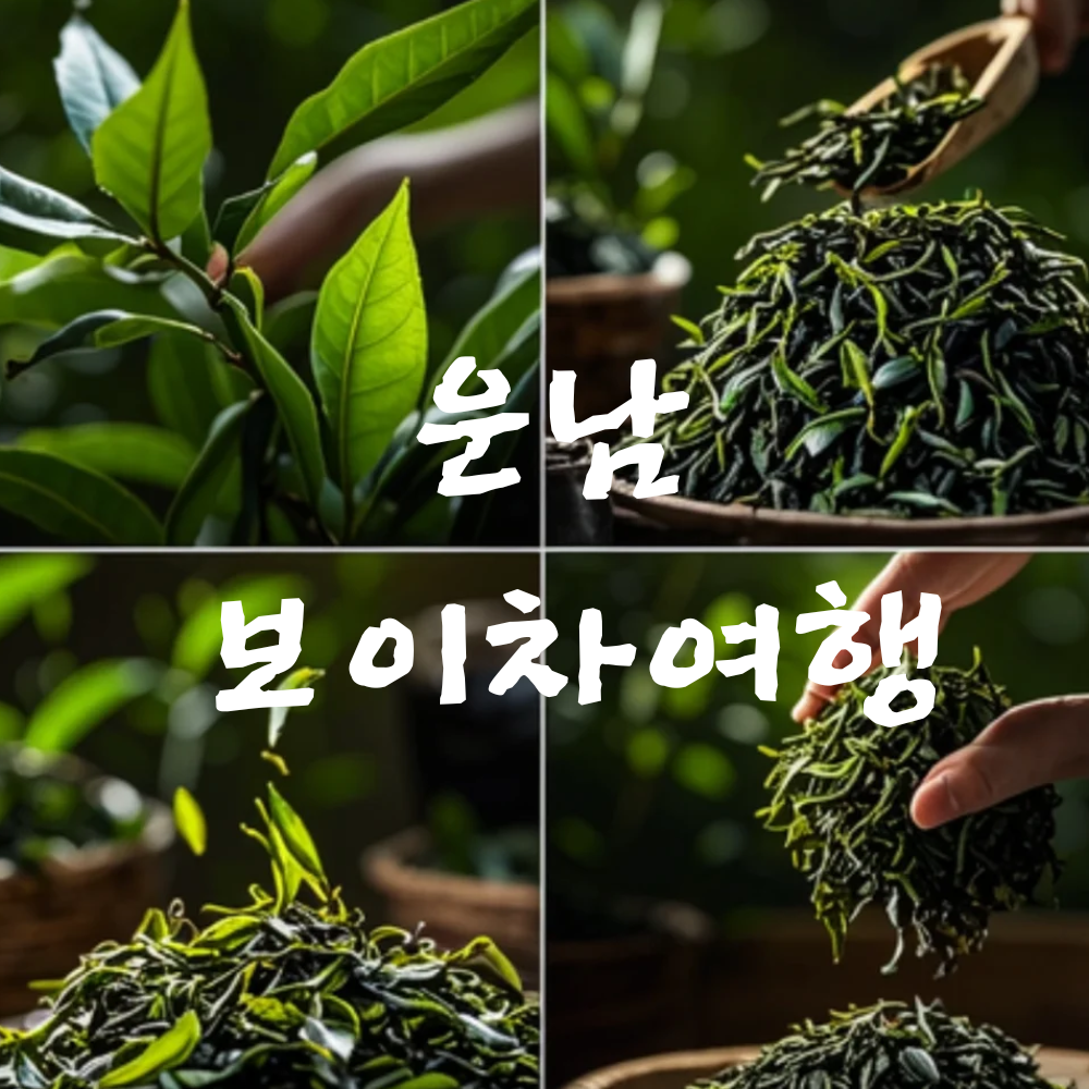 프로필사진