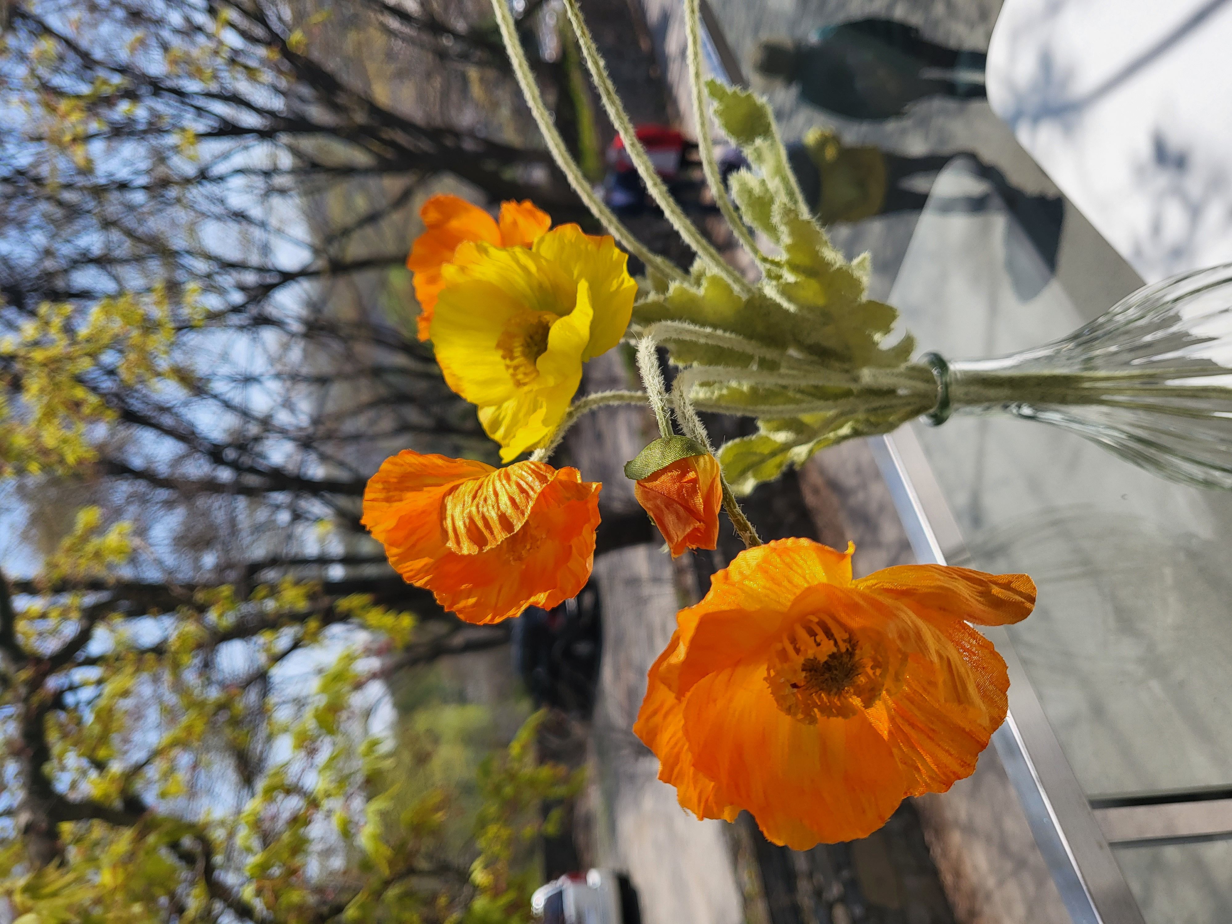 프로필사진