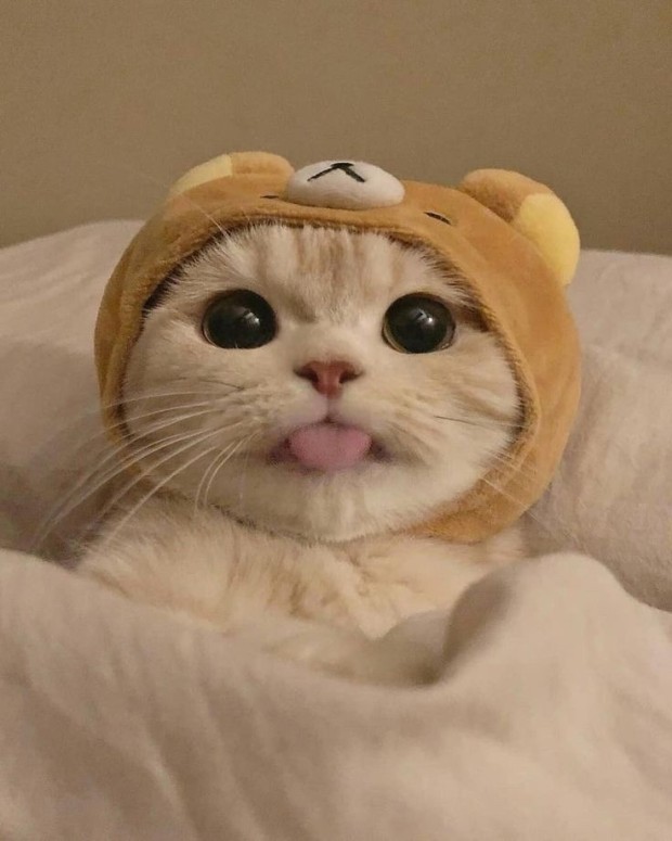 프로필사진