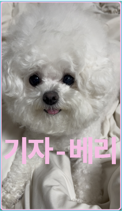 블로그 이미지