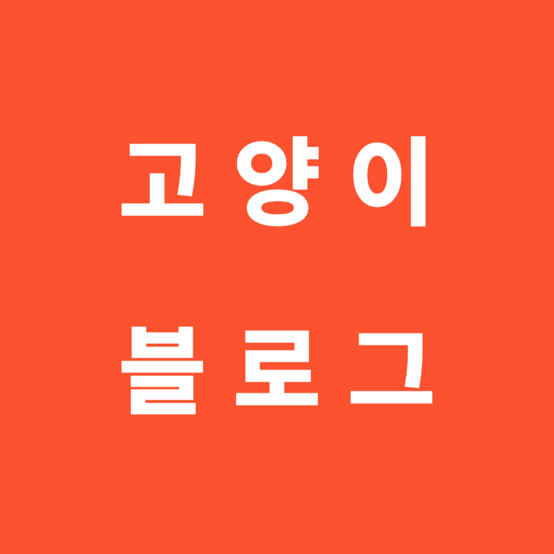 블로그 이미지