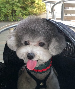 프로필 로고