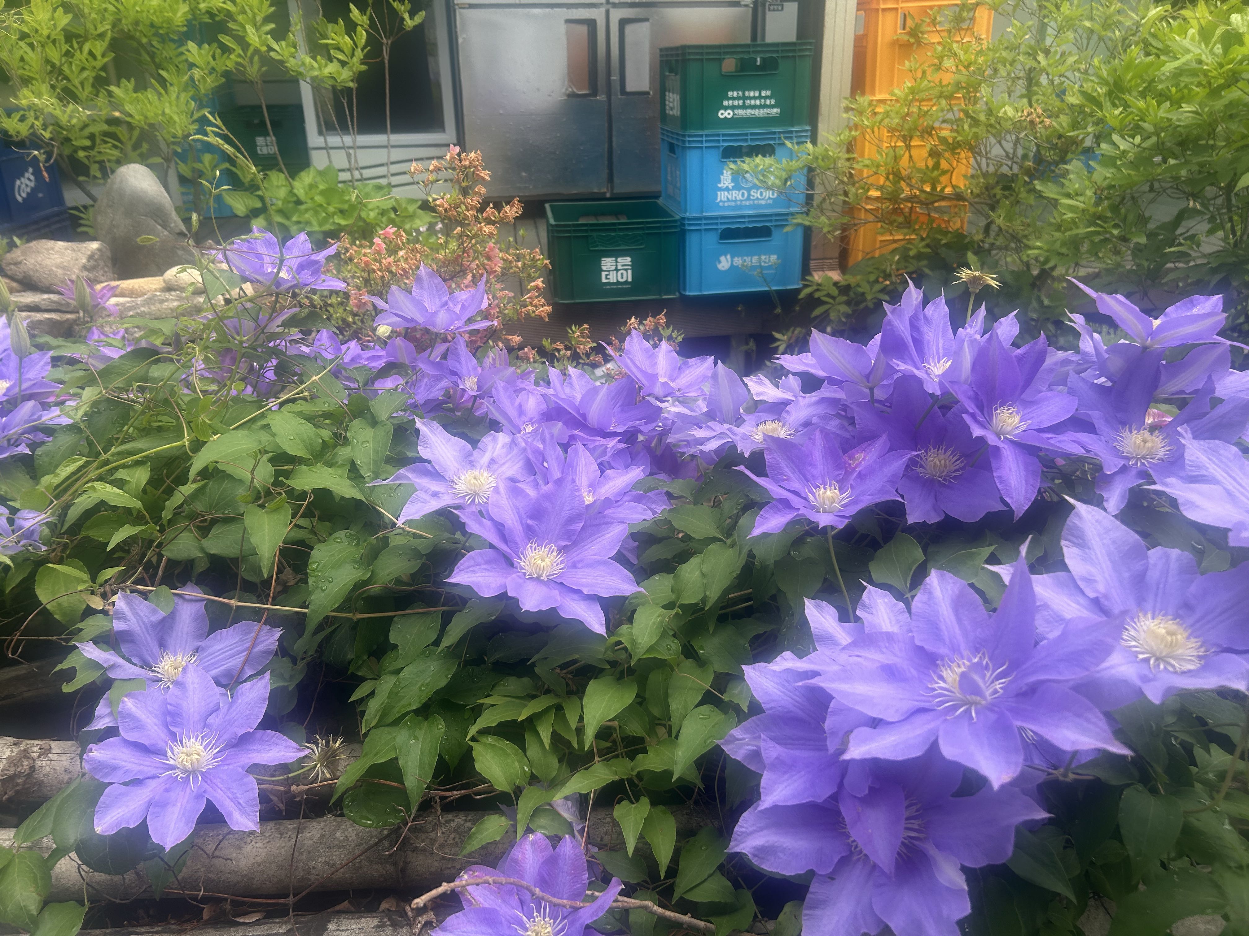 프로필사진