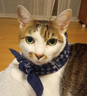 블로그 이미지