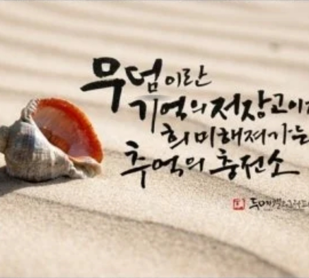 프로필사진