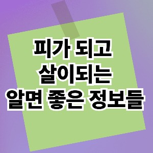 블로그 이미지