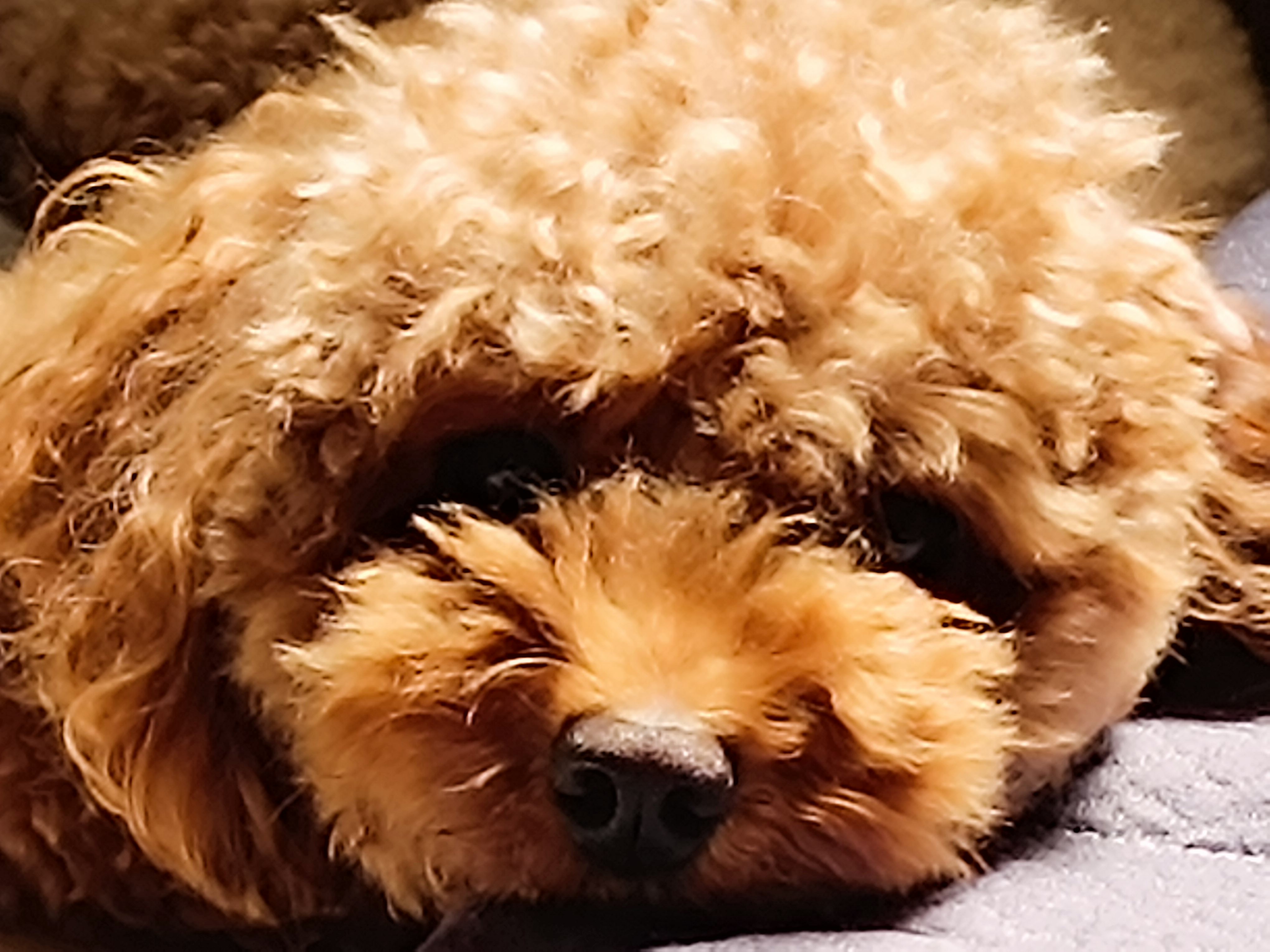 프로필사진
