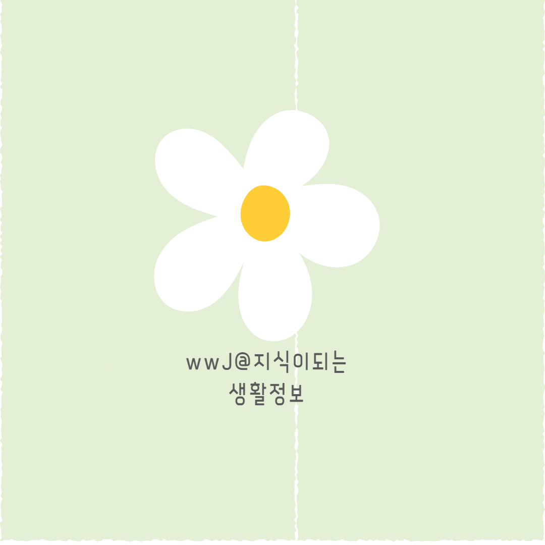 프로필사진