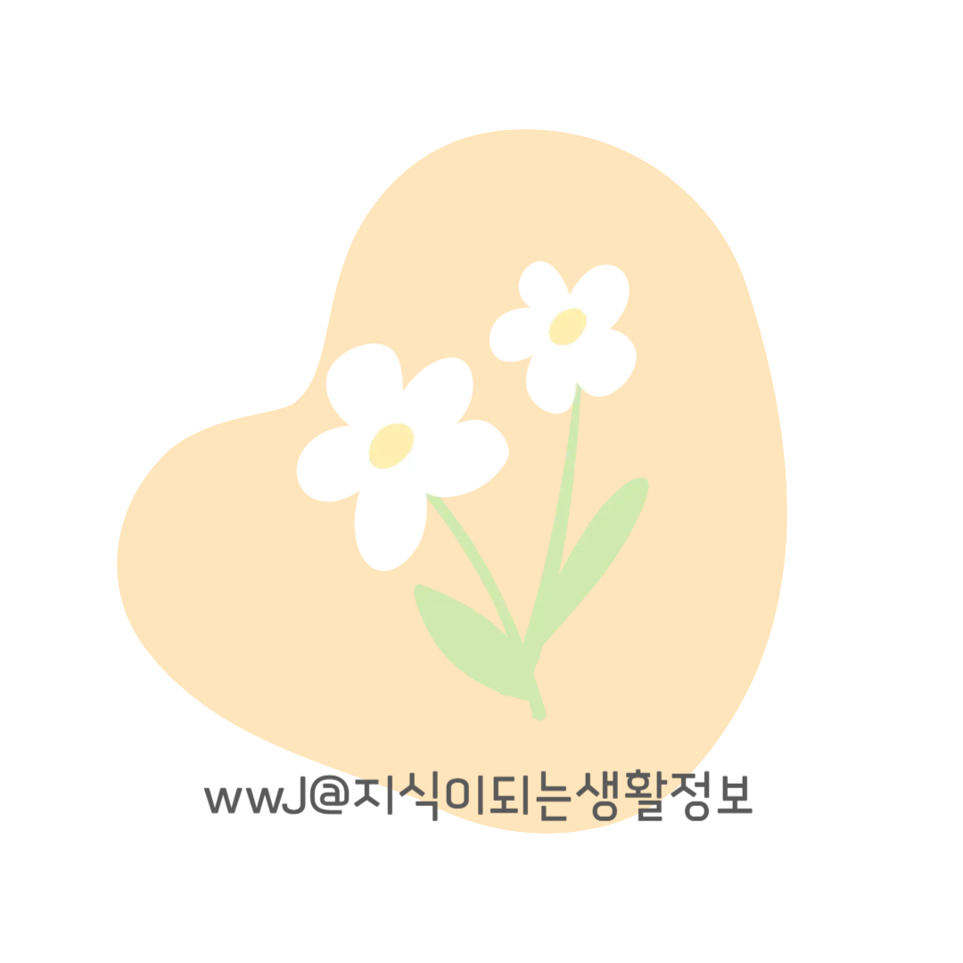 프로필사진