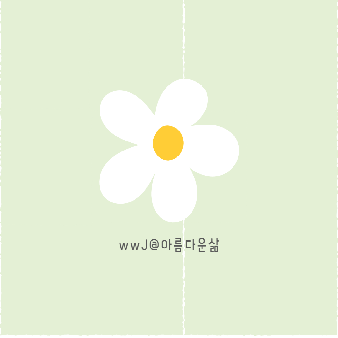 프로필사진