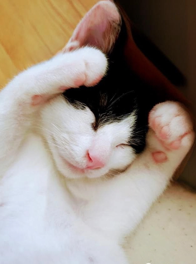 블로그 이미지