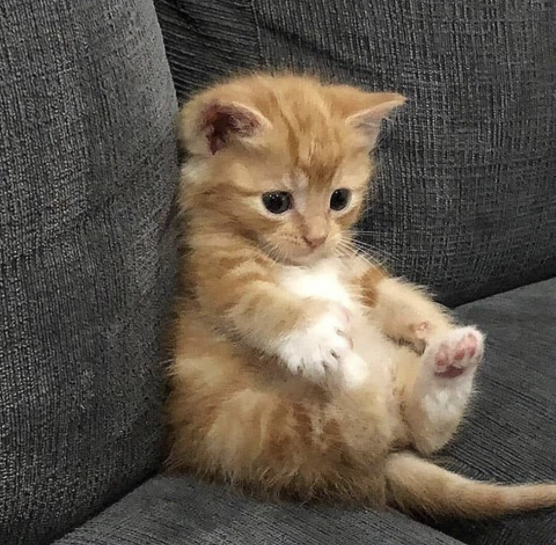 프로필사진