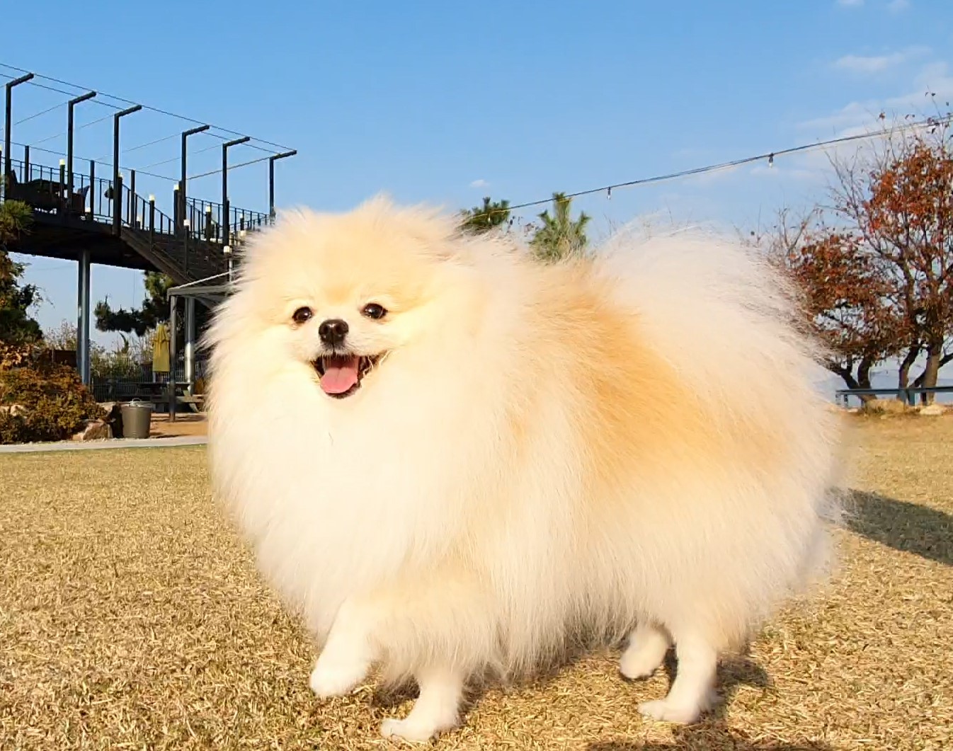 프로필사진