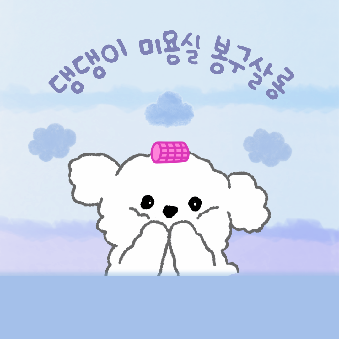 프로필사진