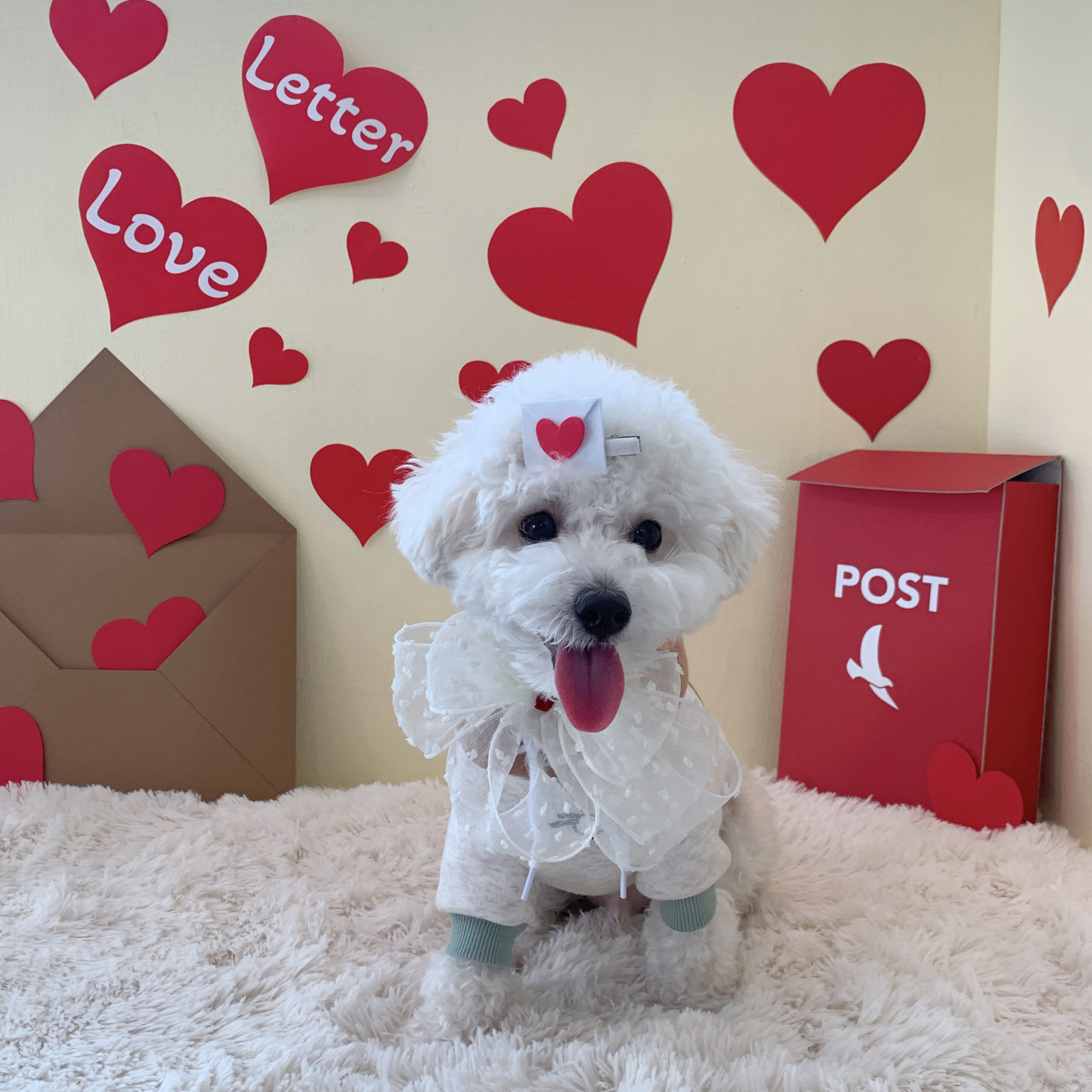 블로그 이미지