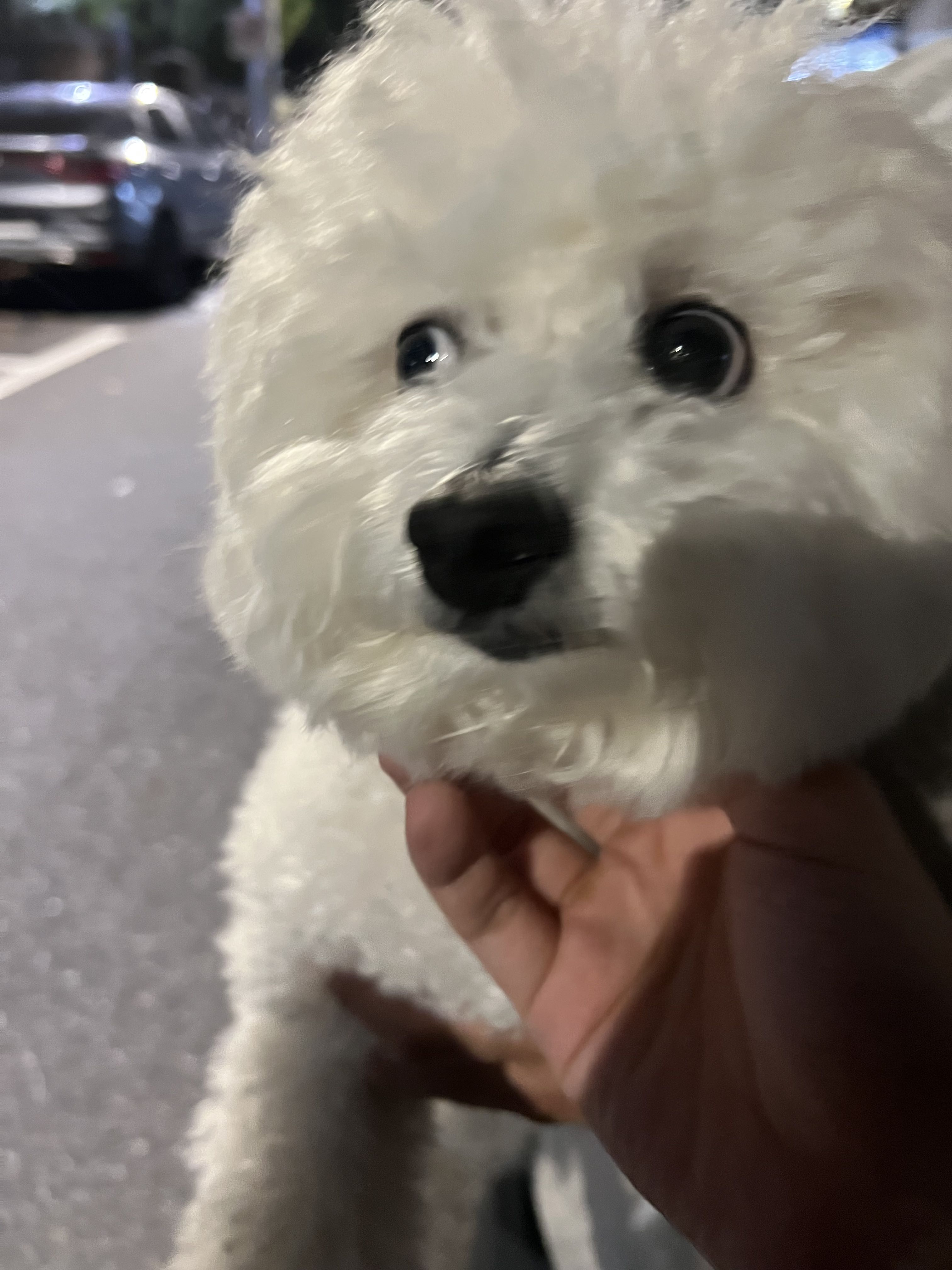프로필사진