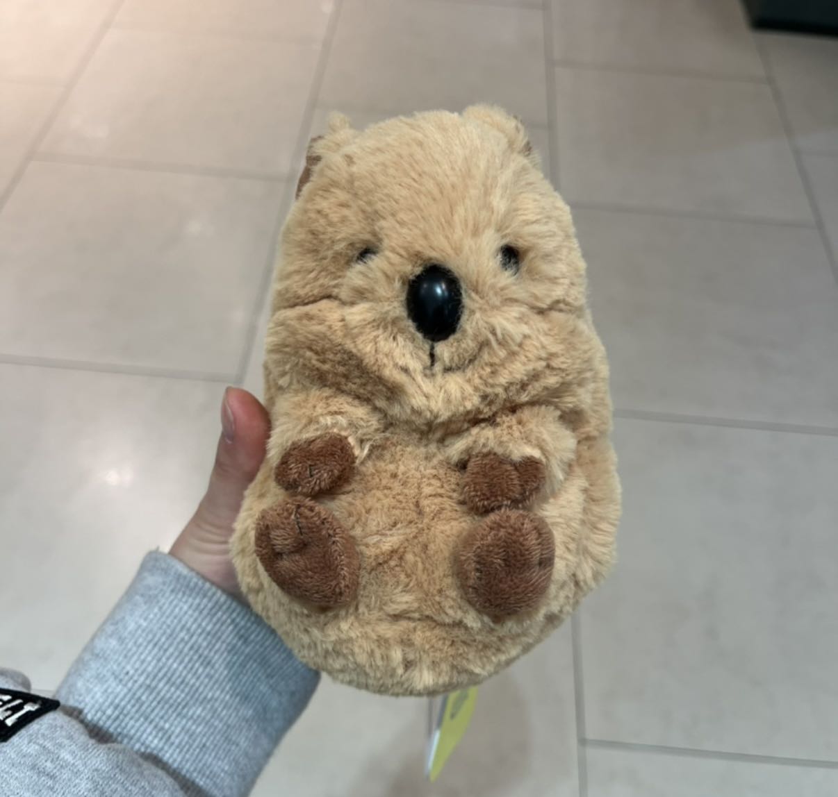 블로그 이미지