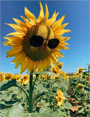 프로필사진