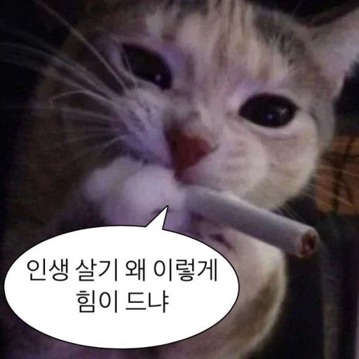 프로필사진