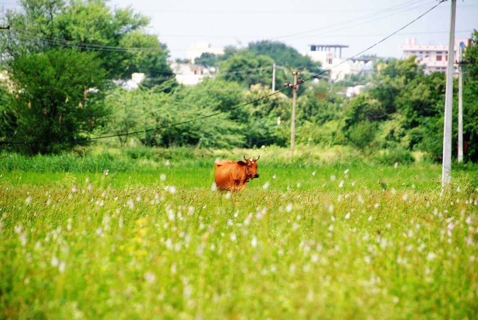 프로필 로고