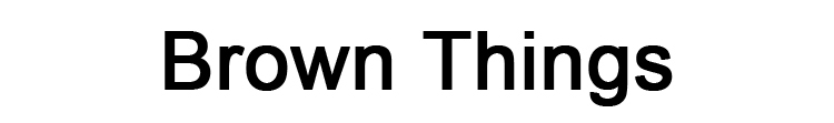 Brown Things 브라운 띵스