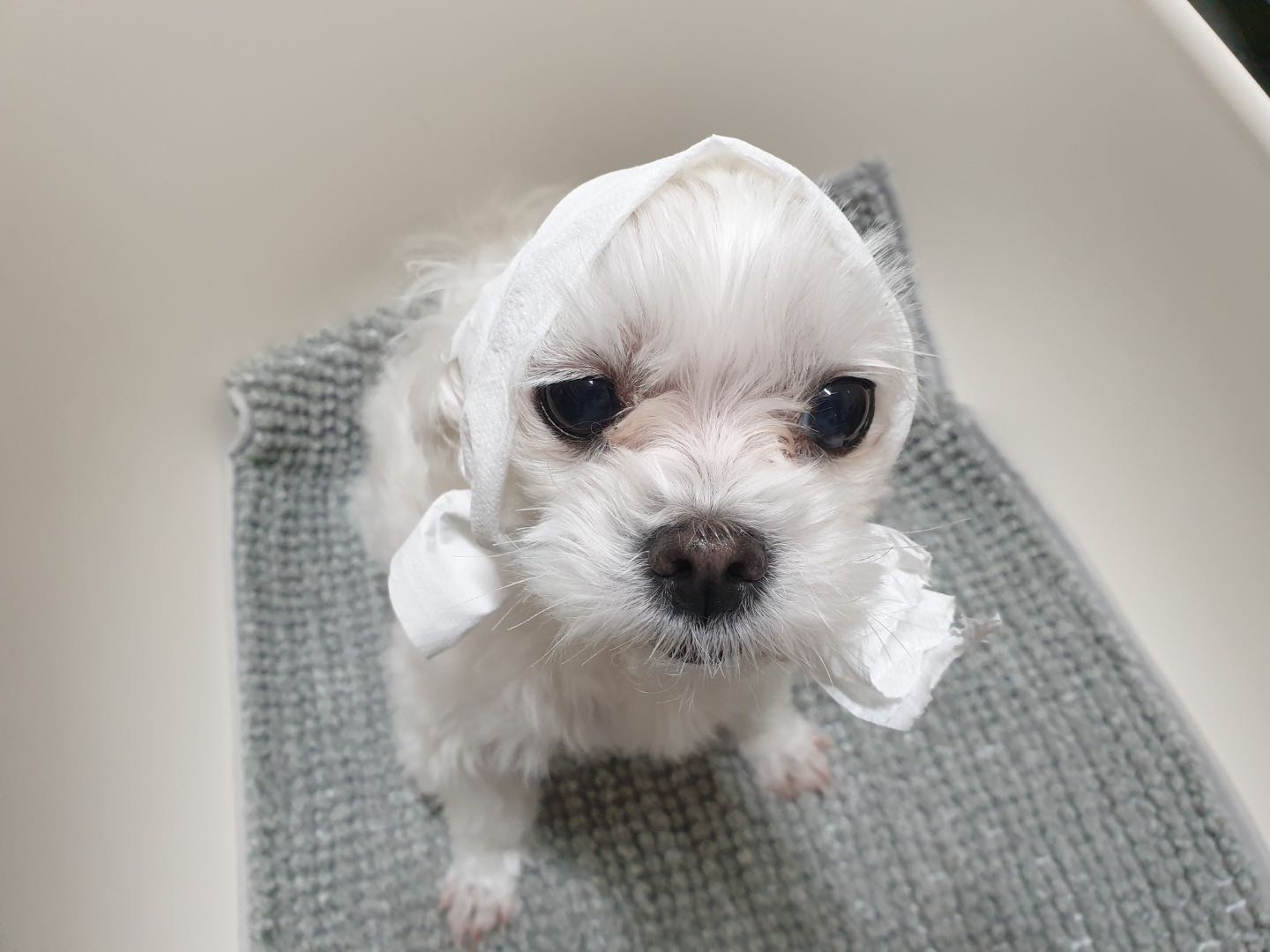 프로필사진