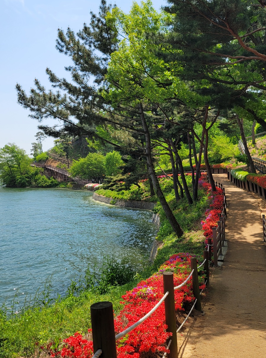 프로필사진