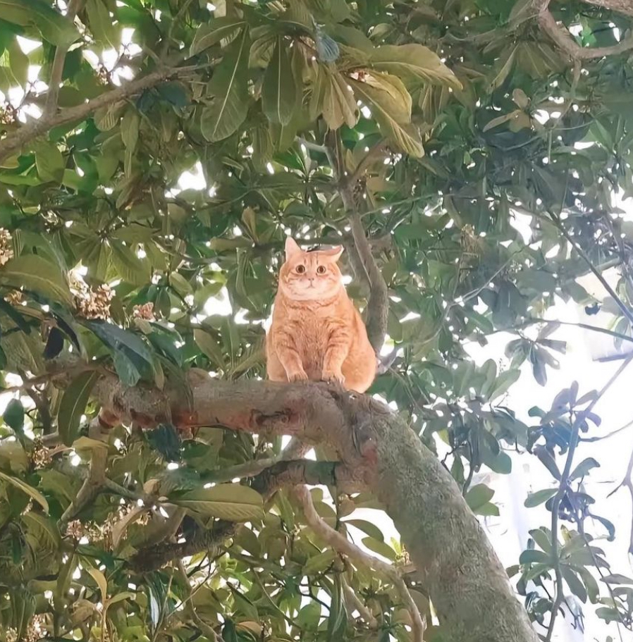 프로필사진