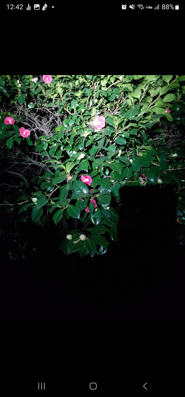 프로필사진
