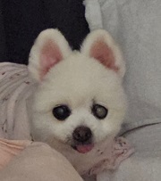 프로필사진