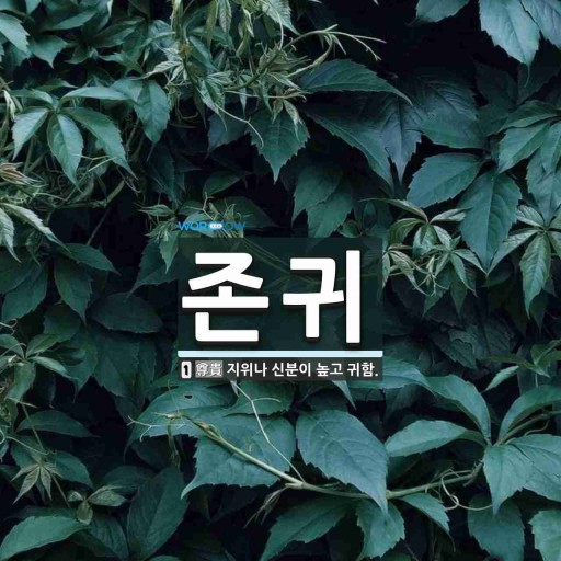 프로필사진