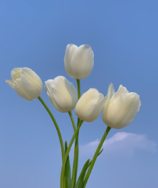 프로필사진