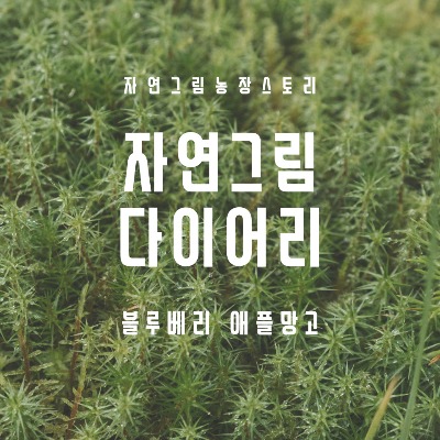 블로그 이미지