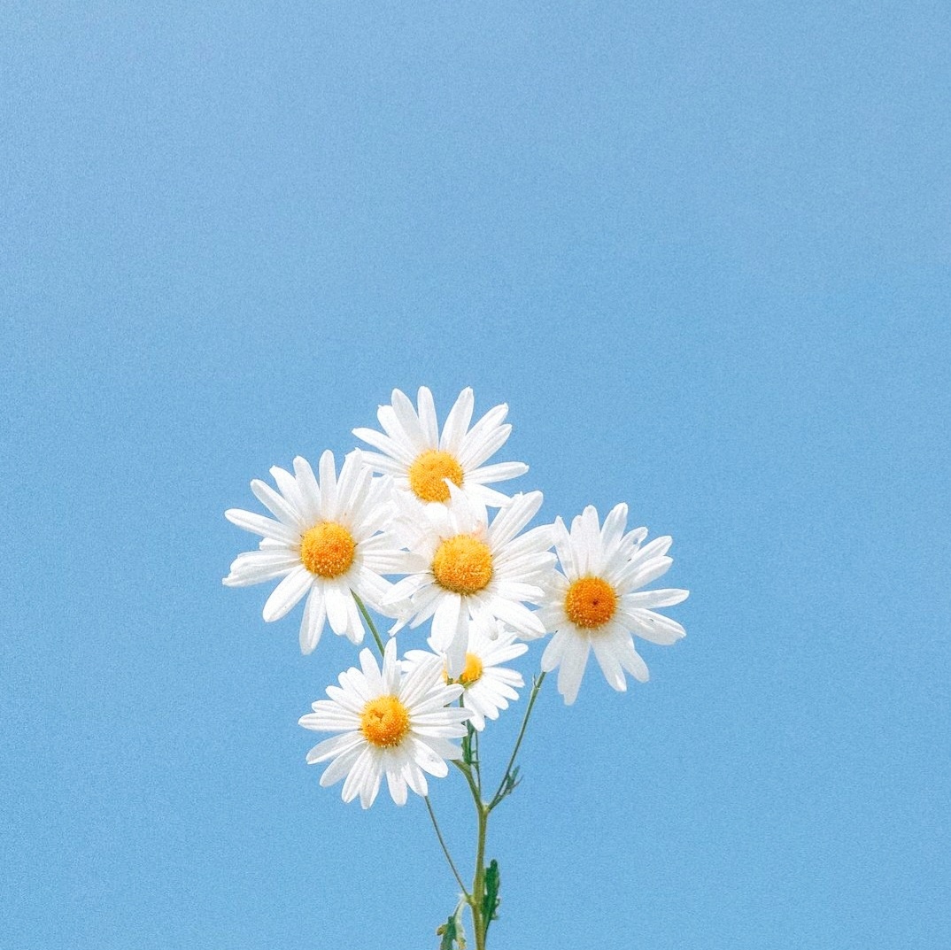 프로필사진
