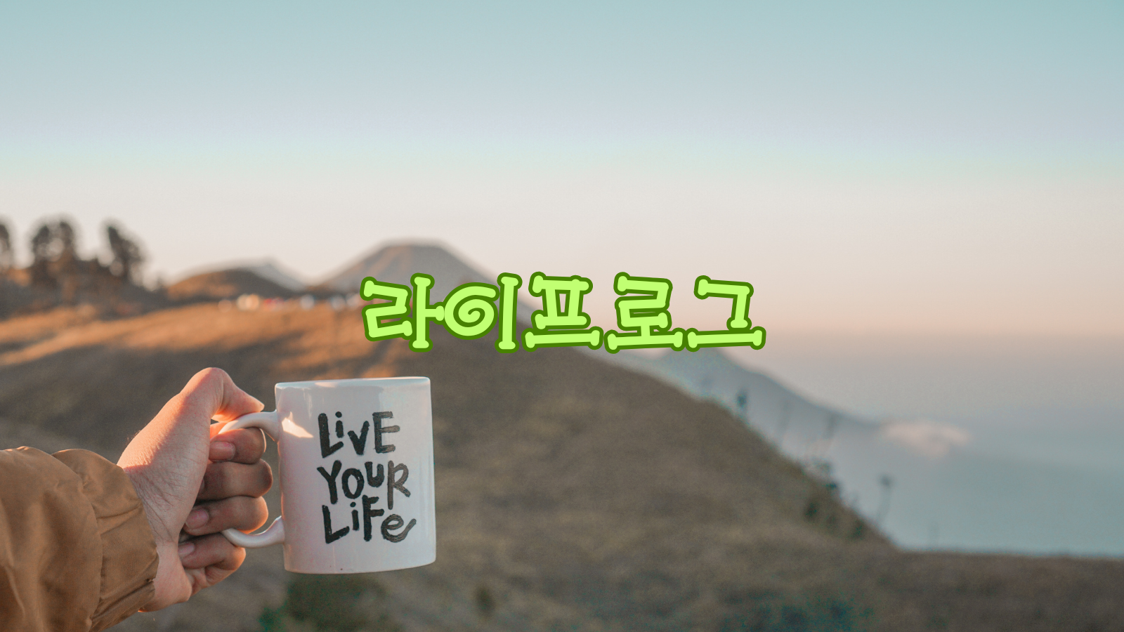 유현라이프로그