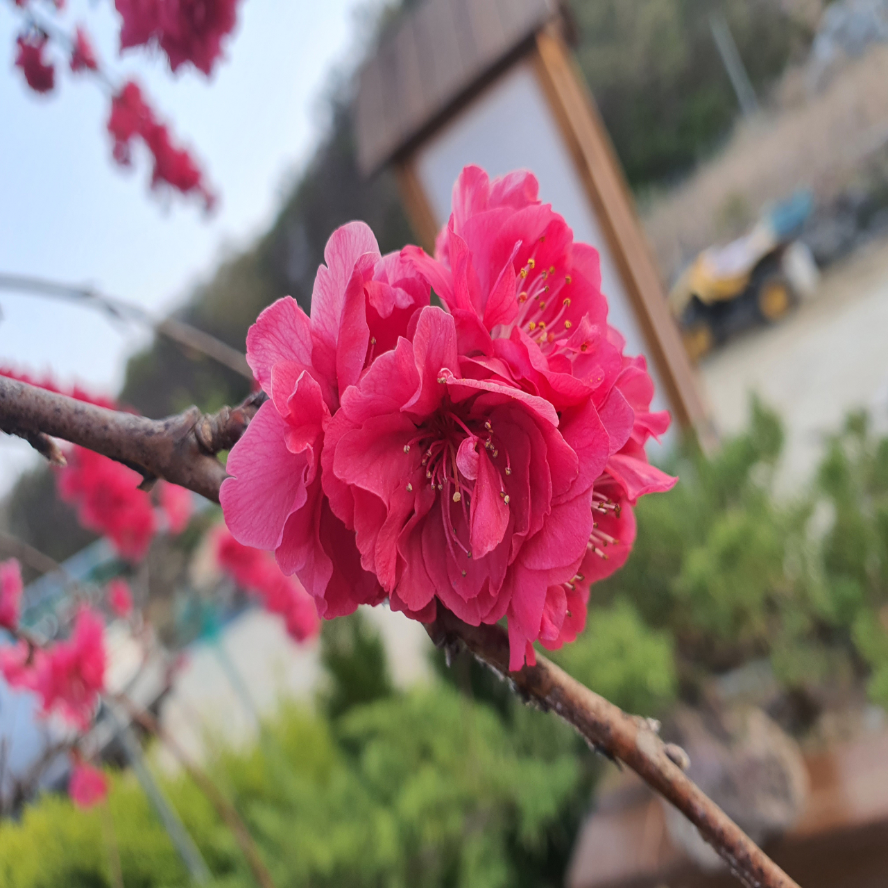 프로필사진