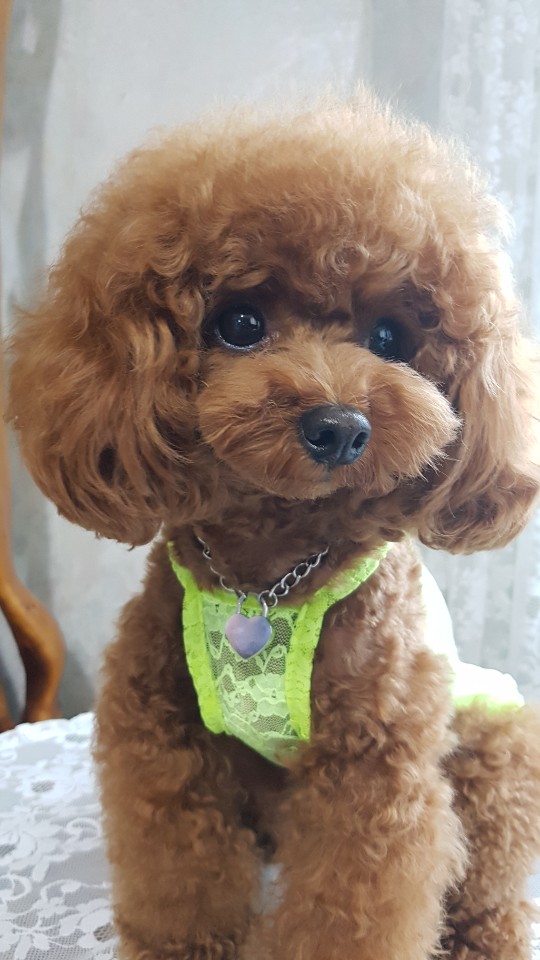 블로그 이미지