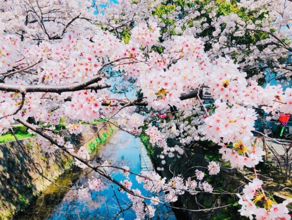 블로그 이미지