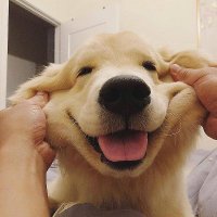 프로필사진