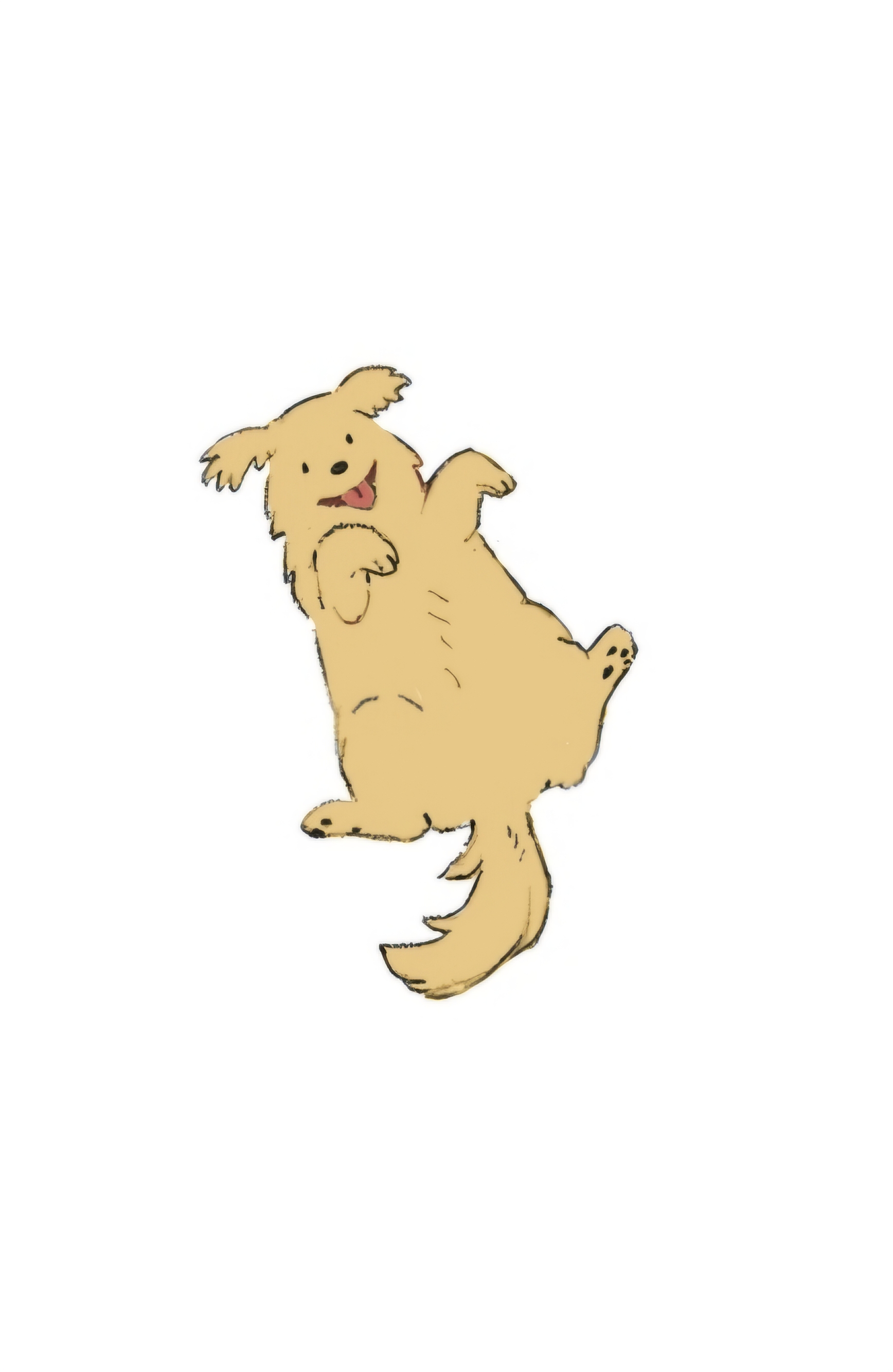 프로필사진