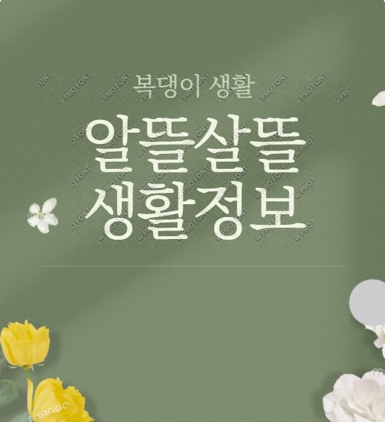 블로그 이미지
