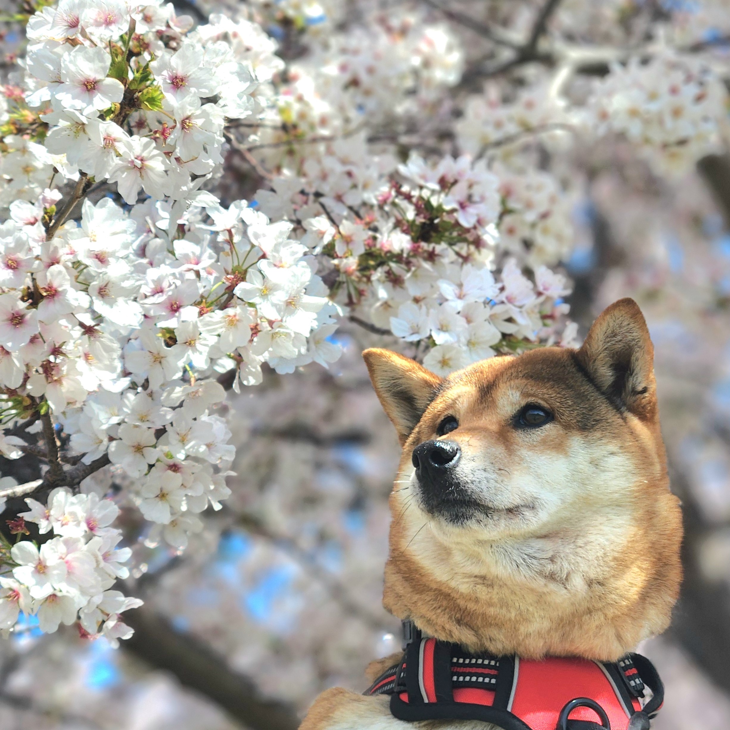 프로필사진