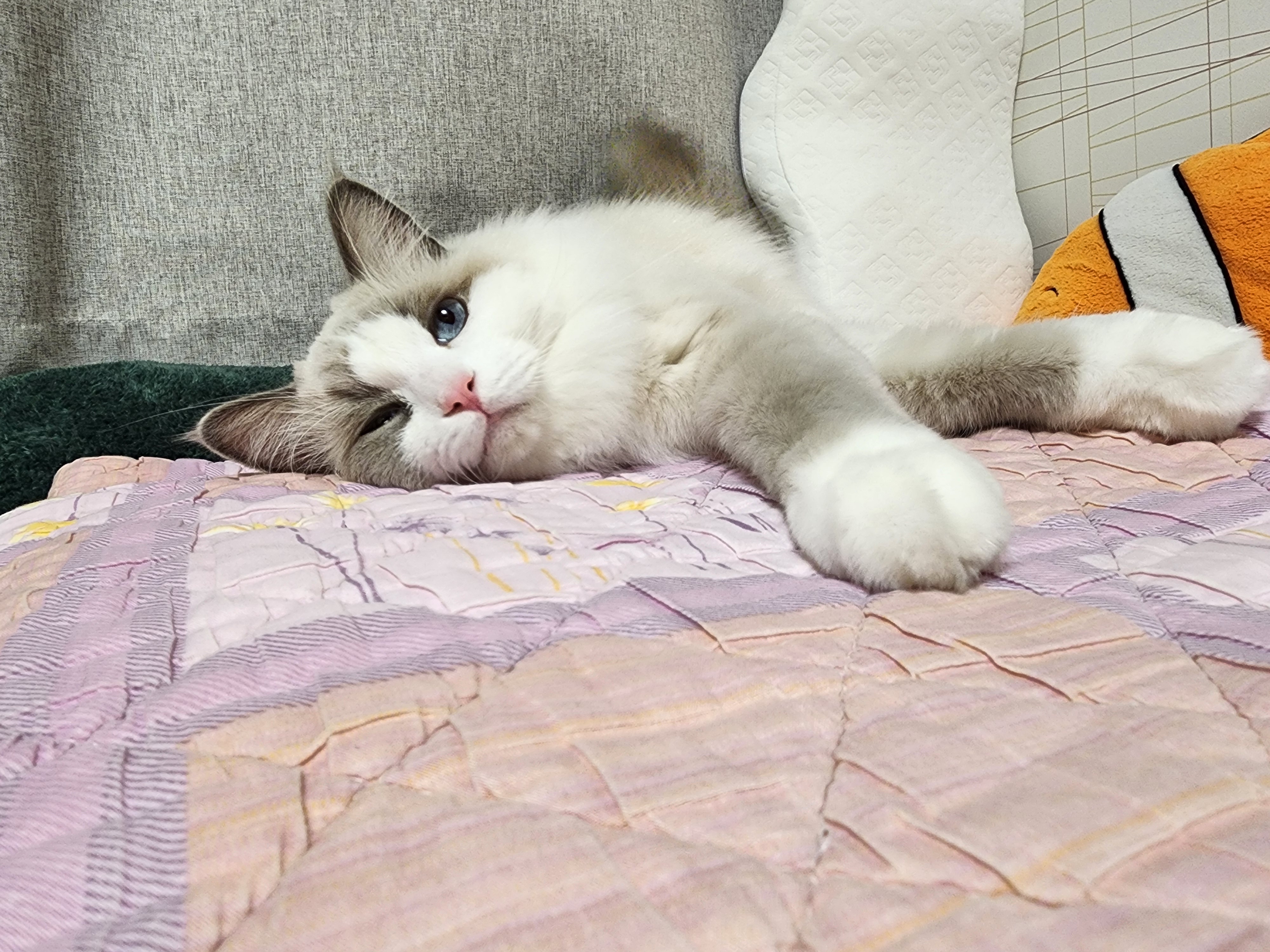 프로필사진